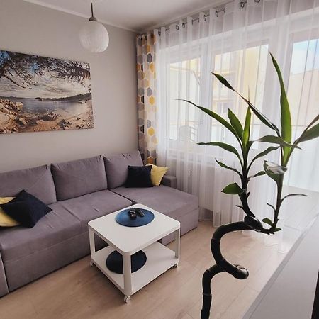 Apartament Miodowy Dom 科沃布热格 外观 照片
